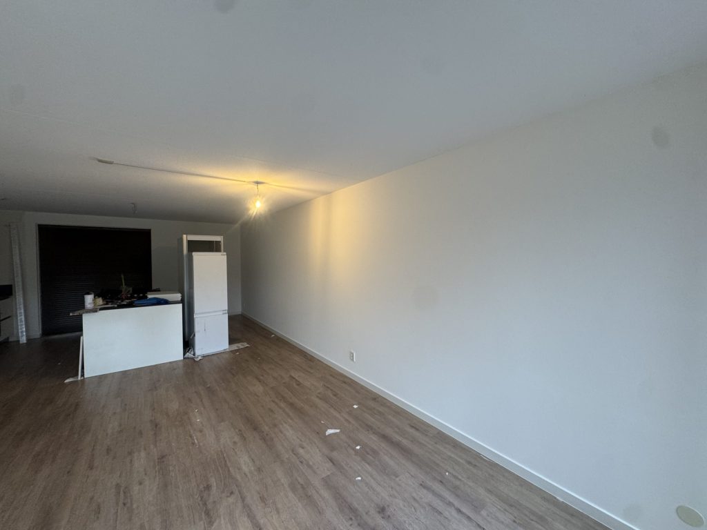 Lange woonkamer met een open keuken, een strakke witte wand en een laminaatvloer